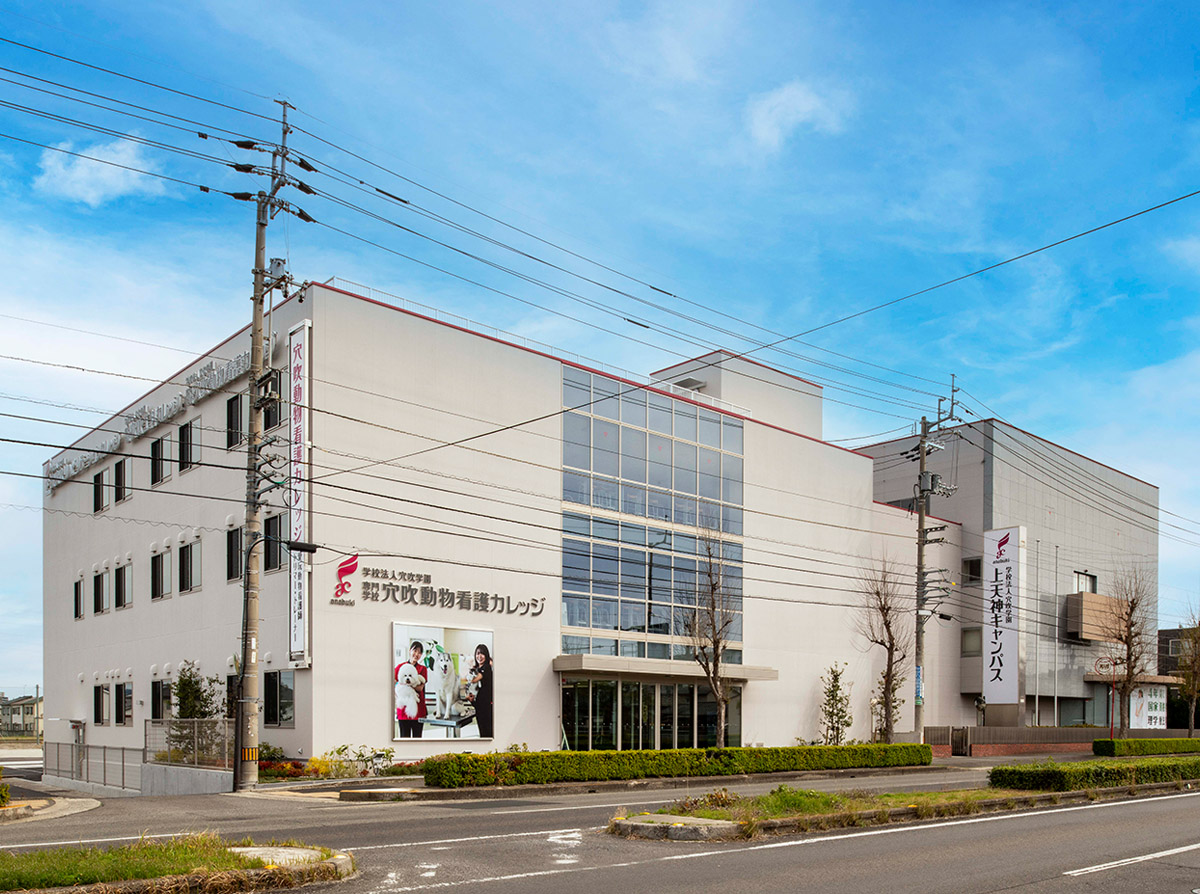 穴吹動物看護カレッジ増築工事